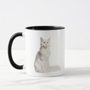 Maine Coon (8 months old) sitting Mug