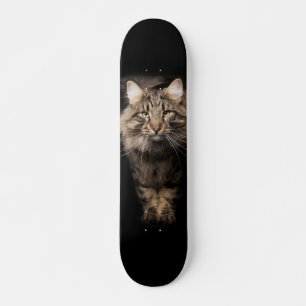 Maine Coon big cat Skateboard