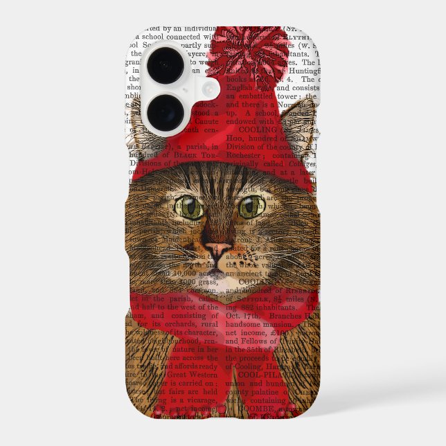 Maine Coon Cat (Back)