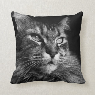 Maine Coon Cat 16 x 16 Cushion