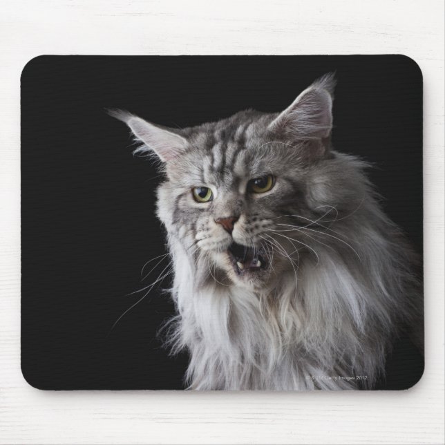 Maine Coon cat 2 Mouse Pad (Front)