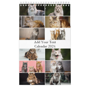 Maine Coon Cat Calendar