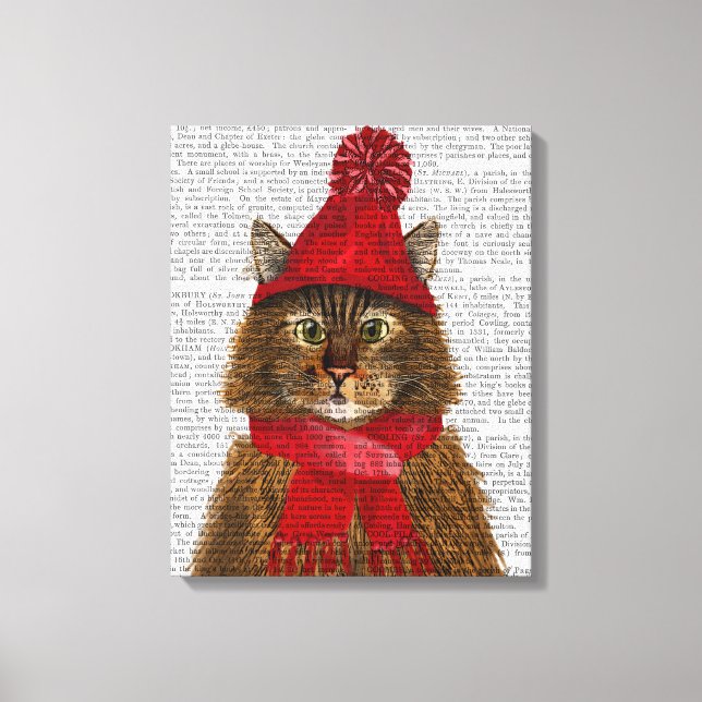 Maine Coon Cat Canvas Print (Front)