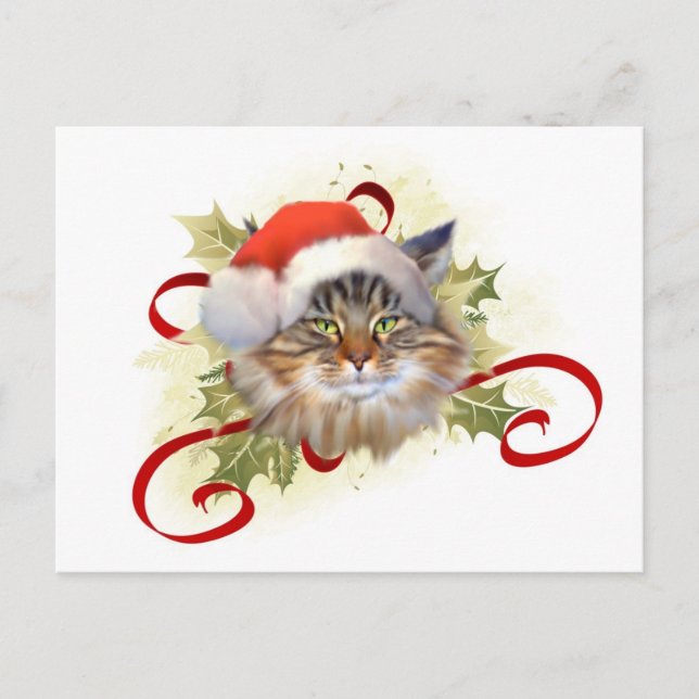 Maine Coon Cat Christmas Postcard (Front)