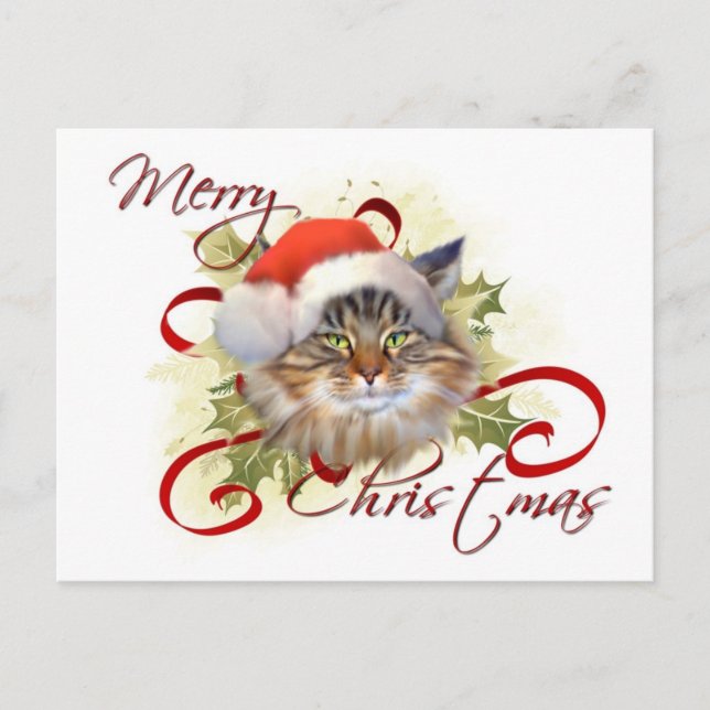 Maine Coon Cat Christmas Postcard (Front)