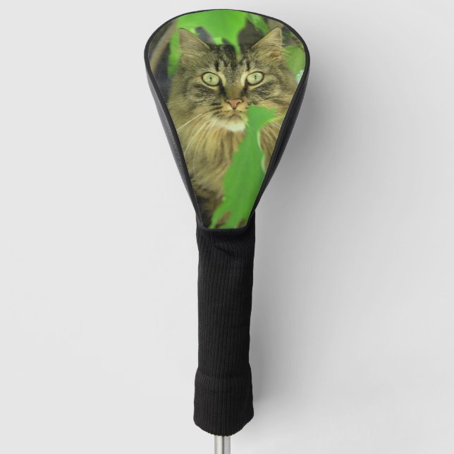 Maine Coon Cat in Tree Golf Head Cover (Front)