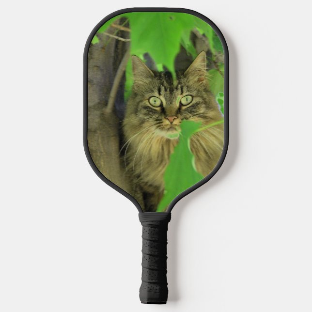 Maine Coon Cat in Tree Pickleball Paddle (Back)