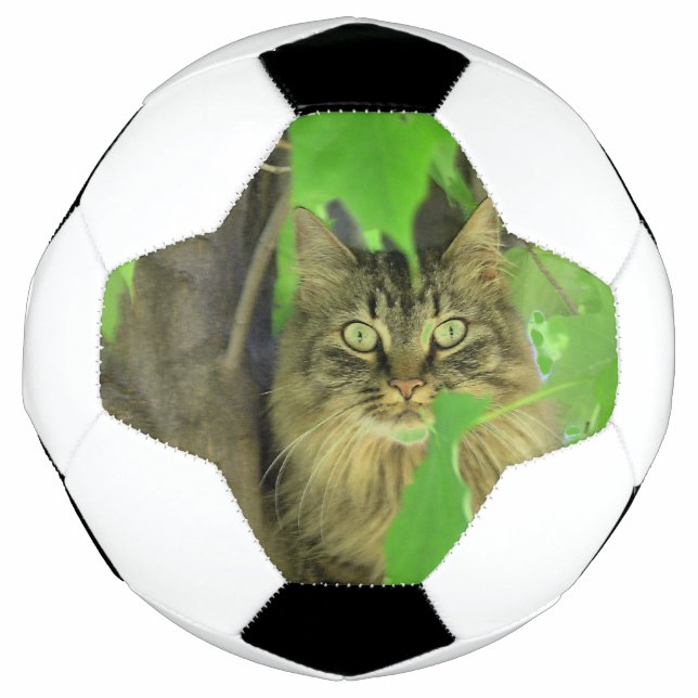 Maine Coon Cat in Tree Soccer Ball (Front)