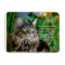 Maine Coon Cat Inspirational Magnet