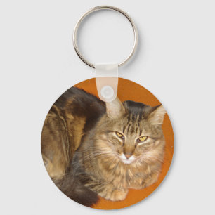 Maine Coon Cat Key Ring
