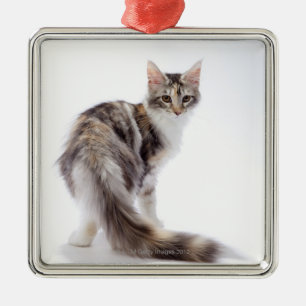 Maine Coon cat Metal Tree Decoration