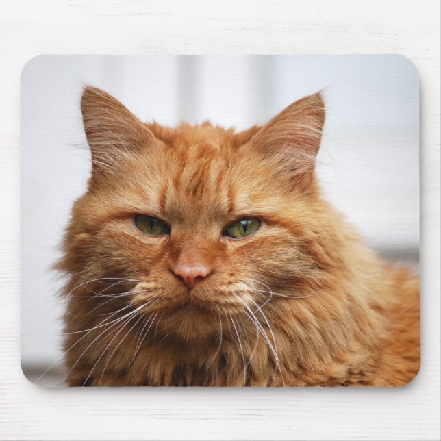 Maine Coon Cat Mouse Pad (Front)