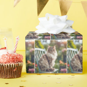 Maine Coon Cat On Chair Wrapping Paper