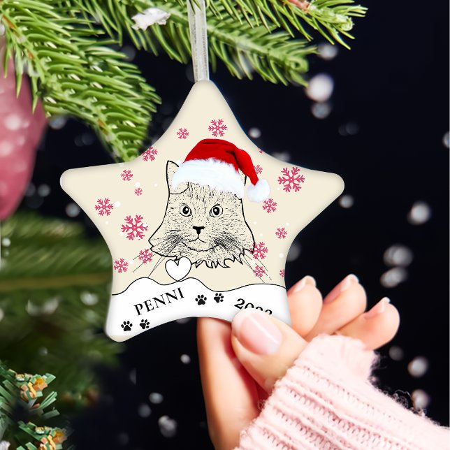 Maine Coon Cat Personalised Hand Drawing Ceramic Tree Decoration (Creator Uploaded)
