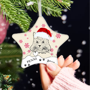 Maine Coon Cat Personalized Hand Drawing Ceramic Tree Decoration