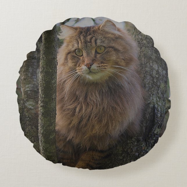 Maine Coon Cat Pet Round Cushion (Front)