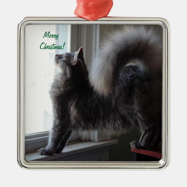 Maine Coon Cat Photo Metal Tree Decoration (Front)