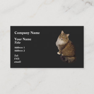 Maine Coon Cat Portrait Business Card