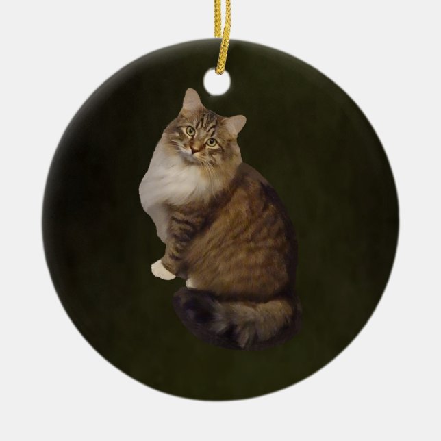 Maine Coon Cat Portrait Ceramic Tree Decoration (Front)
