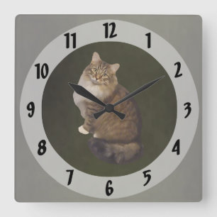 Maine Coon Cat Portrait Square Wall Clock