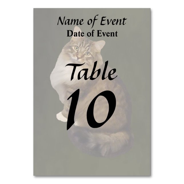 Maine Coon Cat Portrait Table Number (Front)