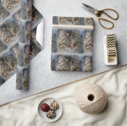 Maine Coon Cat Portrait Wrapping Paper
