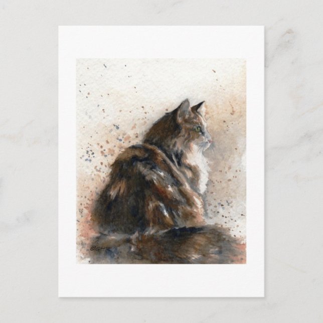 Maine Coon Cat Postcard (Front)