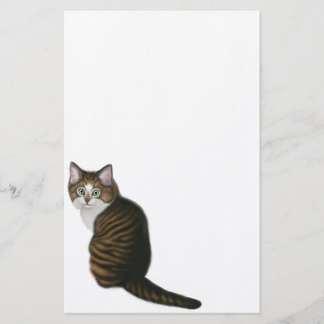 Maine Coon Cat Stationery (Front)