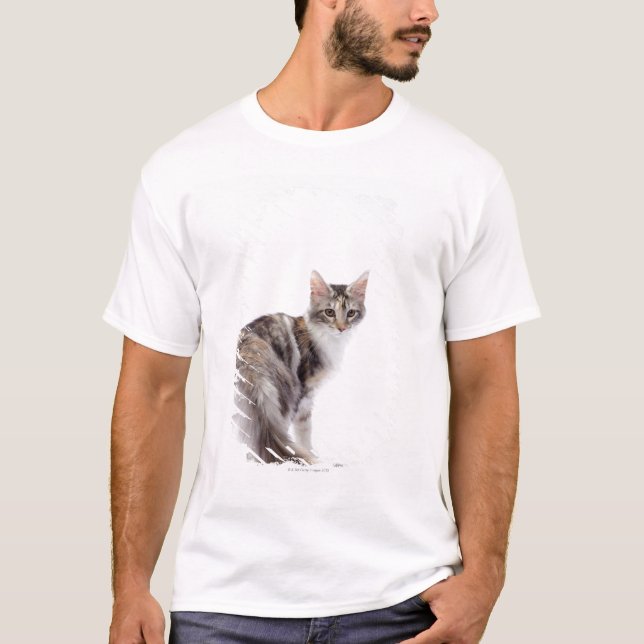 Maine Coon cat T-Shirt (Front)