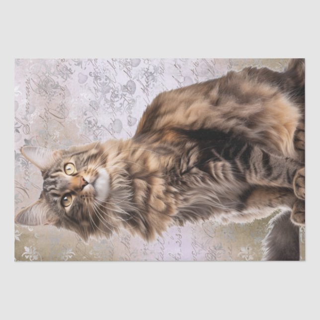 Maine Coon Cat Tissue Paper (Front)