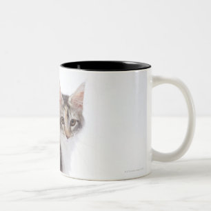 Maine Coon cat Two-Tone Coffee Mug