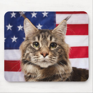 Maine Coon Cat With American Flag Mouse Pad