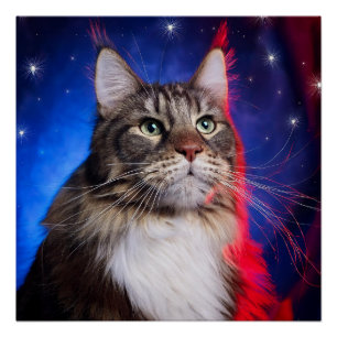 Maine Coon Cat With Red White Blue Aura And Stars Poster