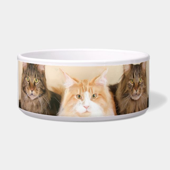 Maine Coon Cats (Front)