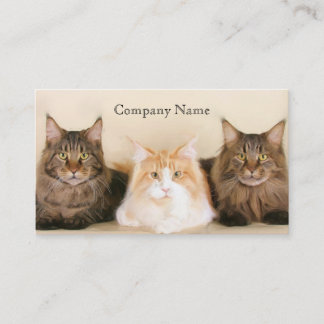 Maine coon cats business cards