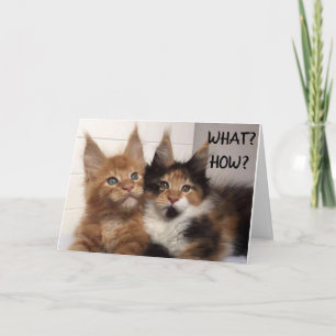 MAINE COON CATS SAY **30?** YOU? BIRTHDAY CARD