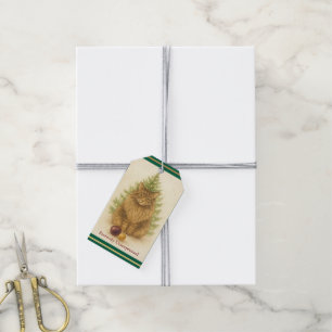 Maine Coon Christmas Card or Tag Funny Cat Holid