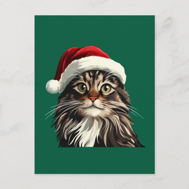 Maine coon, CHRISTMAS, kitty cat, kitty presents Postcard (Front)