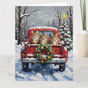 Maine Coon Christmas Red Truck Holiday Card