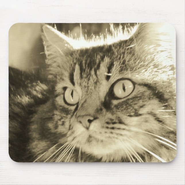Maine Coon Face 2 Mouse Pad (Front)