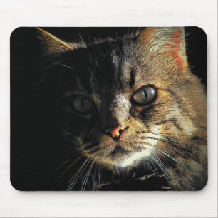 Maine Coon Face Mouse Pad