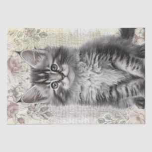 Maine Coon Floral Cat Kitten Tissue Paper