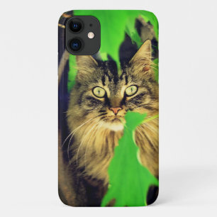 Maine Coon in Tree Case-Mate iPhone Case