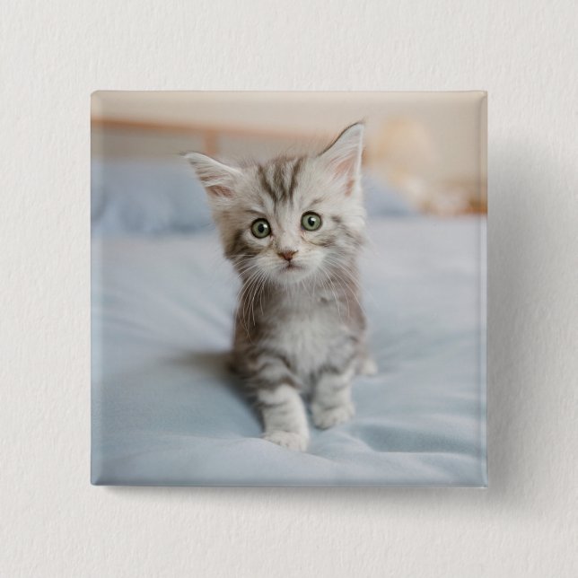 Maine Coon Kitten 15 Cm Square Badge (Front)