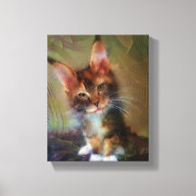 Maine Coon Kitten Art - Pick Me - Rectangular Art