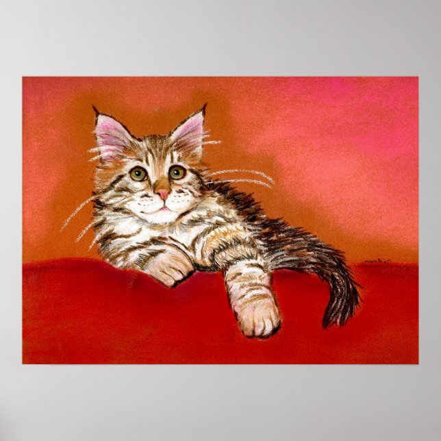 Maine Coon Kitten Cat Portrait Poster (Front)