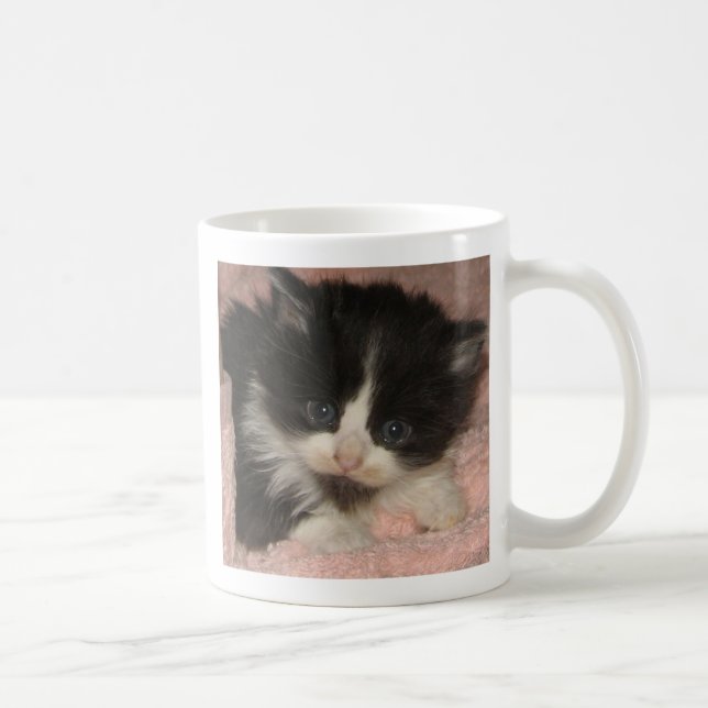 Maine Coon Kitten Coffee Mug (Right)