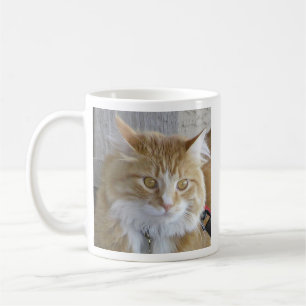 Maine Coon Kitten Face Close-Up Photograph Coffee Mug