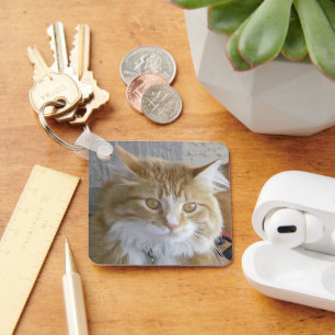 Maine Coon Kitten Face Close-Up Photograph Key Ring