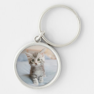 Maine Coon Kitten Key Ring